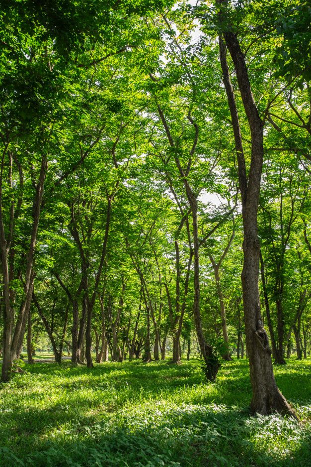 Sustainability Banner